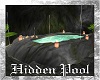 Hidden Pool