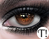 T! Starlet Brown Eyes