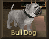 [my]Bull Dog Grey