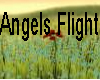 Angels Flight (Music)