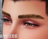 Thick Brown Eyebrows