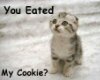 You eated my cookie