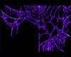 Purple Animated Cobweb