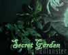 Secret Garden Plants