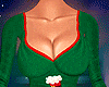 🦌 Santa Set