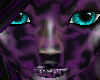 Purple Leo Skin -Cy