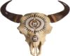 Buffalo Skull
