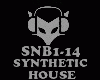 HOUSE - SYNTHETIC
