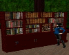 Library Book Shelf