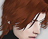 Ray Ginger