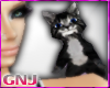 [GNJ] black cat