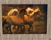 :) Wild Horses Banner