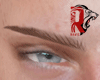 🦁 2blond eyebrows