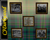 Scottish pictures (5)