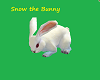 Snow Pet Rabbit