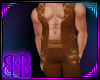Bb~Scarcrow-Adult-M