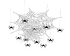HALLOWEEN SPIDERS/WEB