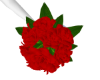 Red Roses