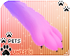 [Pets] Phir | paws v1