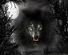 midnight wolf