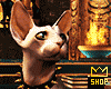 Egyptian Cat 𓂀