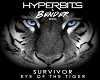 survivor-remix