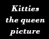 Kitties Cat Pic