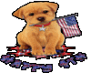 American pup