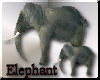 [my]Grey Elephant Anim