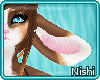 [Nish] Collie Ears 5