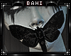 Bahi_Outfit_18