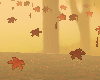 FALL AMBIENT
