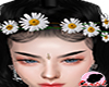 Can- Daisy Flower Crown