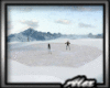 ~A~   Skating  Pond