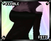 [PETS] Liz | sweater