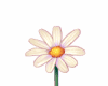(1) "THE DAISY GAME"