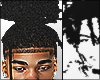 Bun Locs v2