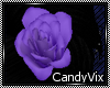[CV] Purple Hair Roses