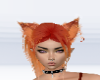 Ginger Kitten Ears