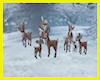 Di* Reindeer Group