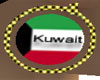 [NTZ] Kuwait Earring