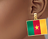 MY FLAG:CAMEROON