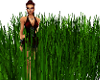 {CSC} Animated Grass