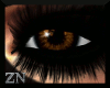 [zn] Gli brown Eyes