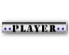 PLAYER TAG