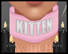 ii Collar - Kitten