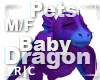 R|C BabyDragon Purple MF