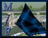 Malachite Blue Wings