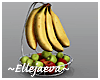 Banana Hanger & Fruit