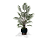 Classic Potted Plant